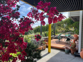 Under the Yellow Canopy, Christchurch